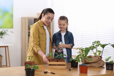 Photo of Mother and daughter spraying seedling in pots together at wooden table in room