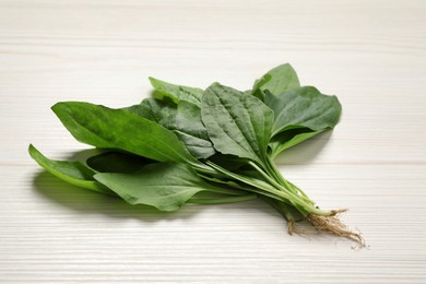 Photo of Broadleaf plantain leaves on white wooden table, closeup