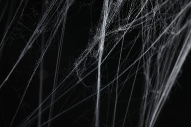 Photo of Creepy white cobweb on black background, closeup