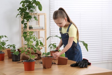 Cute little girl planting seedling in pot at wooden table in room