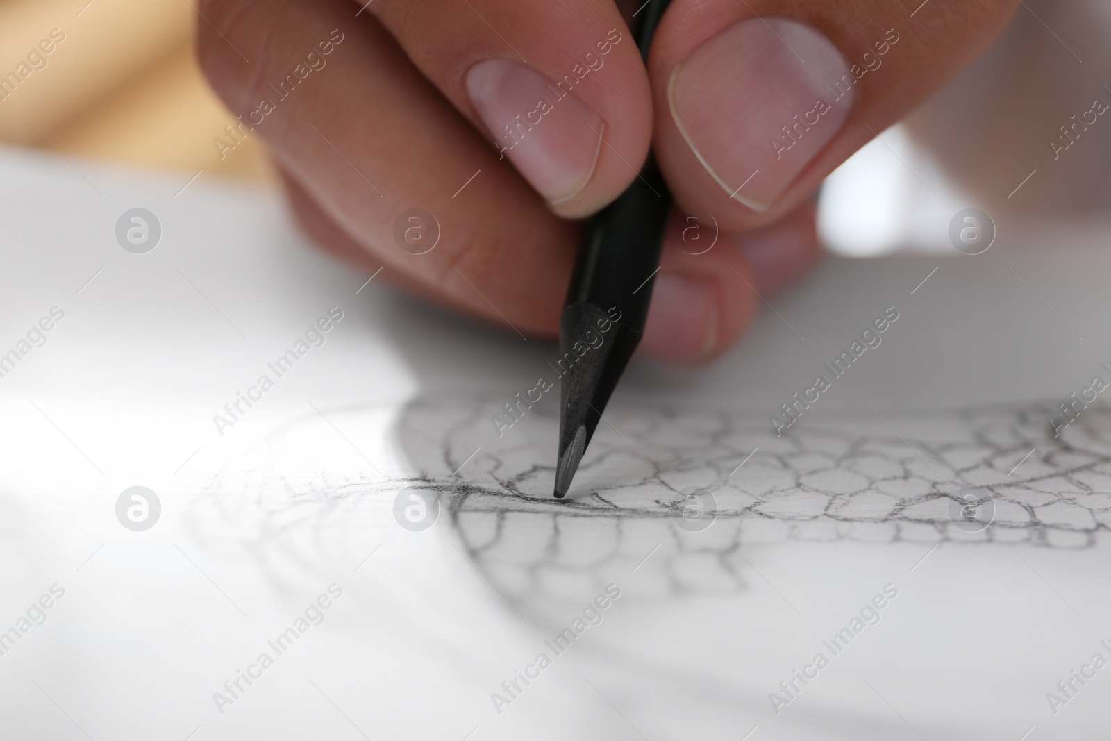 Photo of Man drawing snake with pencil in notepad, closeup