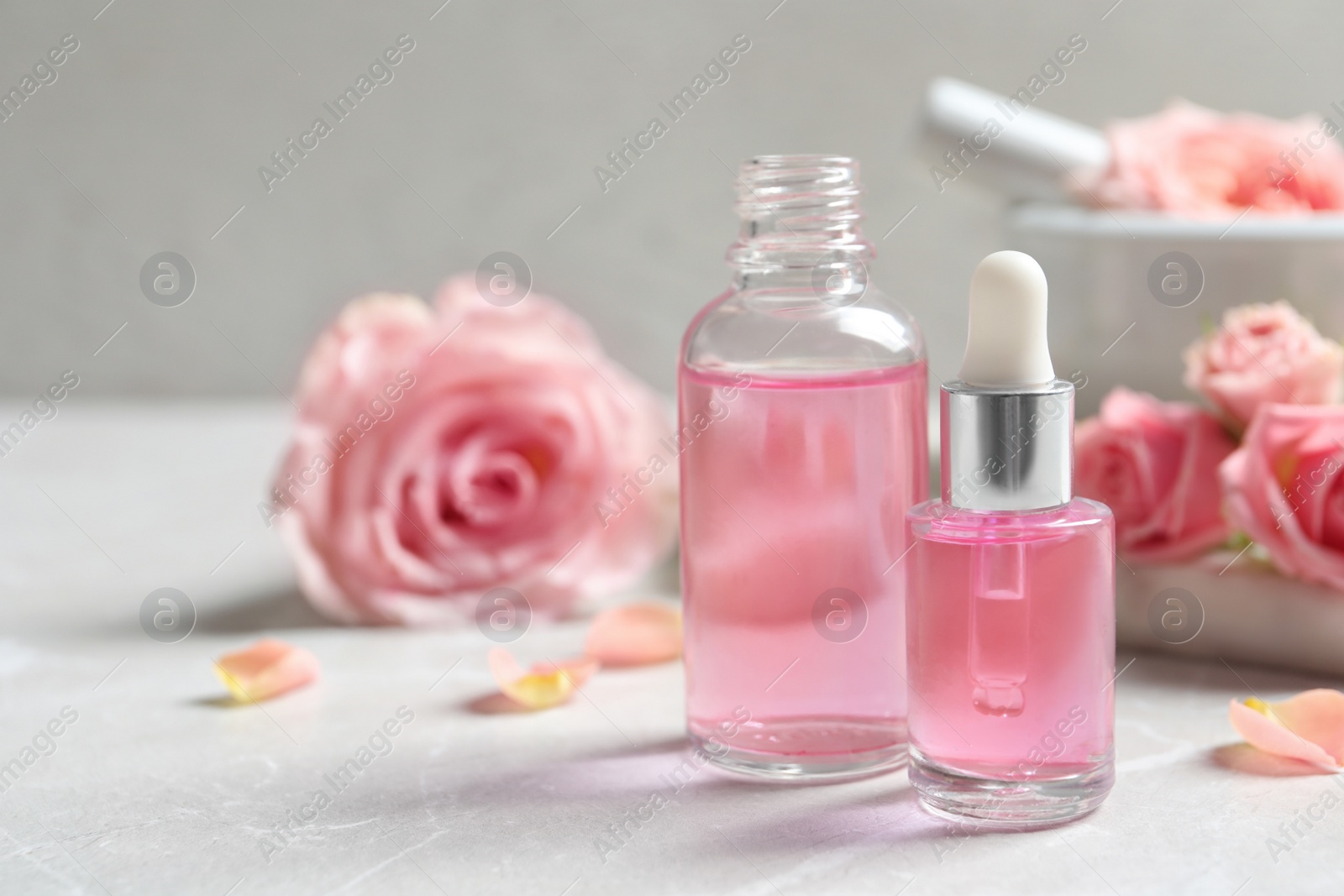 Photo of Bottles of rose essential oil and fresh flowers on table, space for text