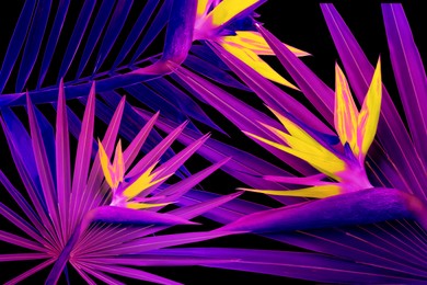 Image of Tropical leaves and flowers in neon colors on black background