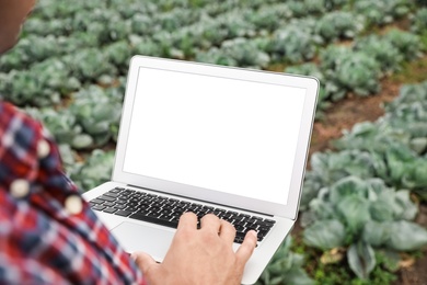 Man using laptop with blank screen in field, closeup. Agriculture technology