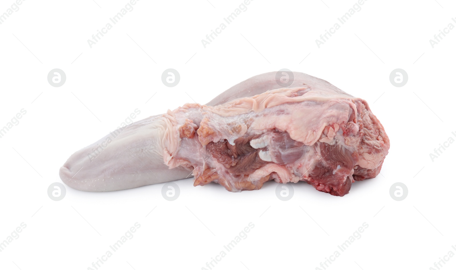 Photo of One raw beef tongue isolated on white