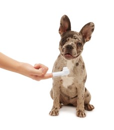 Photo of Woman with finger toothbrush near dog on white background, closeup