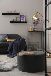 Living room interior with stylish pouf and furniture