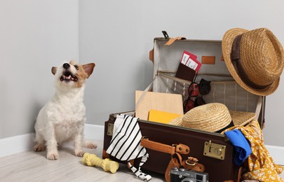 Photo of Travel with pet. Dog, clothes and suitcase indoors