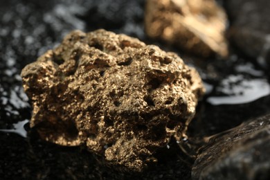 Shiny gold nugget on wet stone, closeup