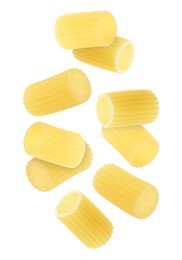 Raw rigatoni pasta falling on white background