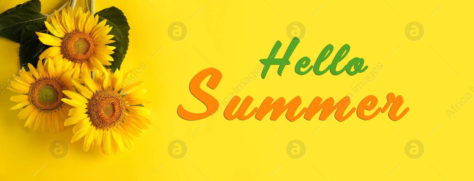 Image of Hello Summer. Beautiful bright sunflowers on yellow background, flat lay