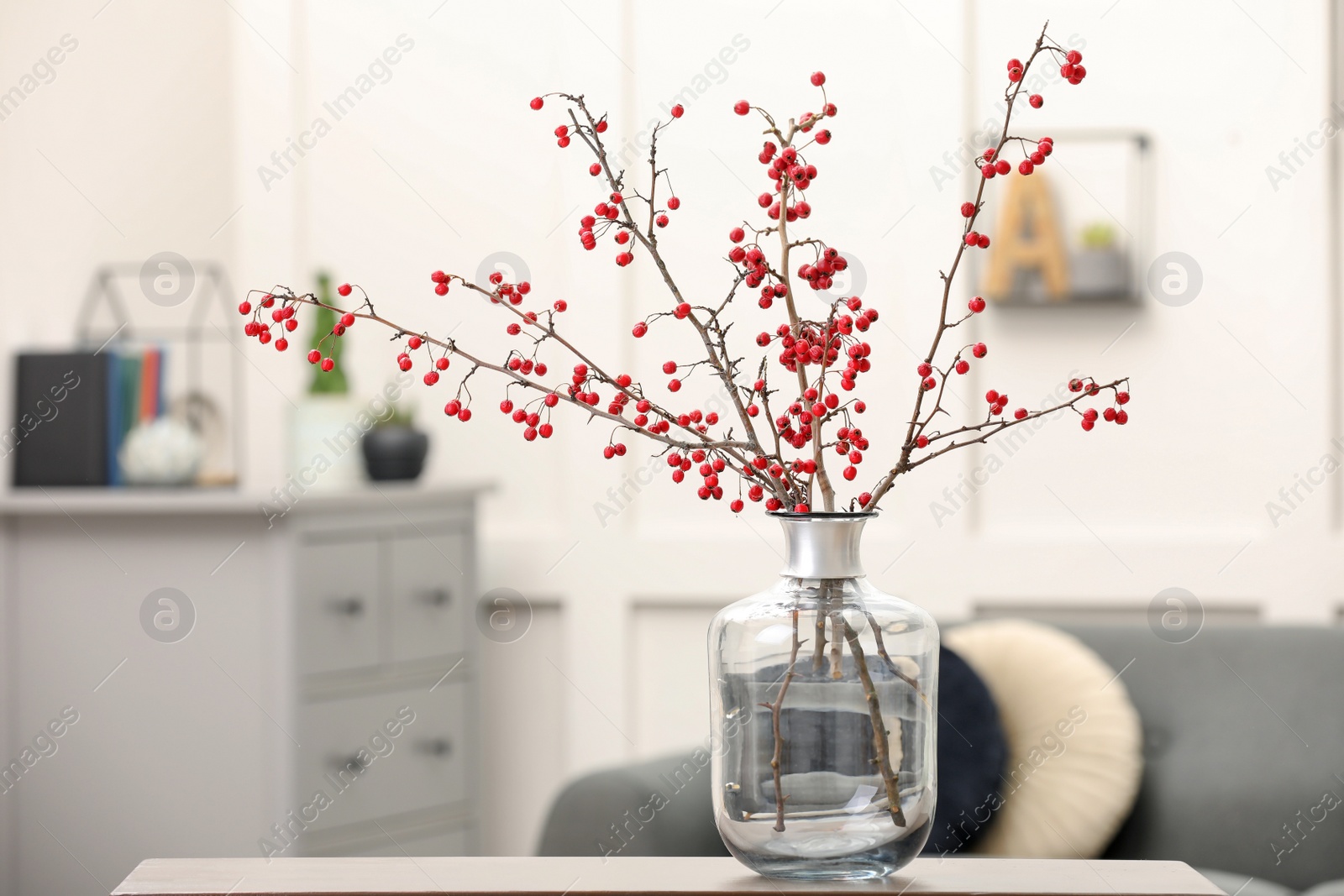 Photo of Hawthorn branches with red berries on table in living room