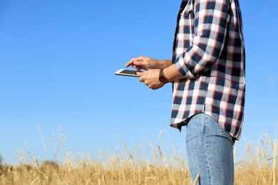Photo of Agronomist with tablet in wheat field, space for text. Cereal grain crop