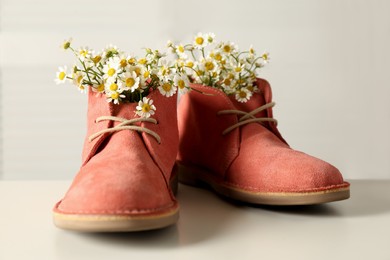 Beautiful tender chamomile flowers in pink boots on white table