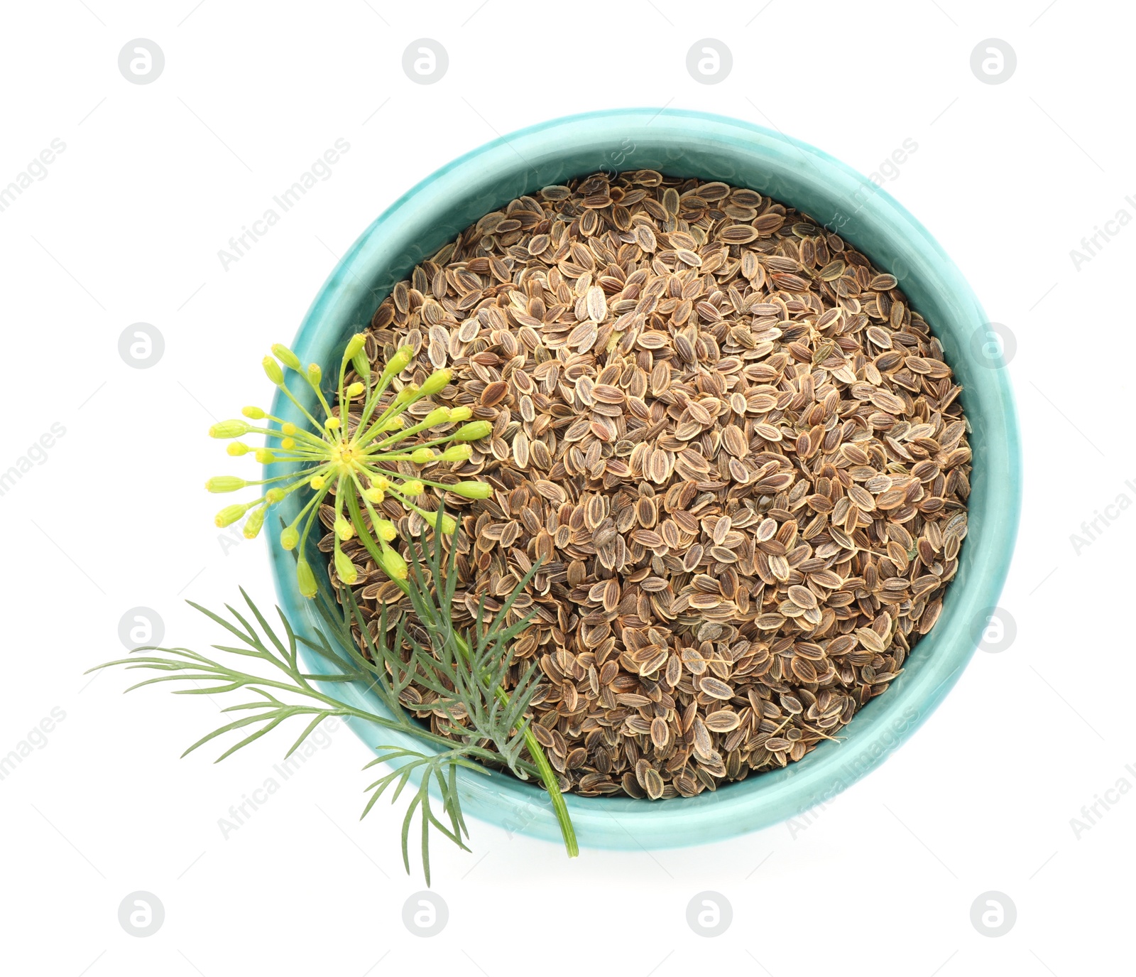 Photo of Bowl of dry seeds and fresh dill isolated on white, top view
