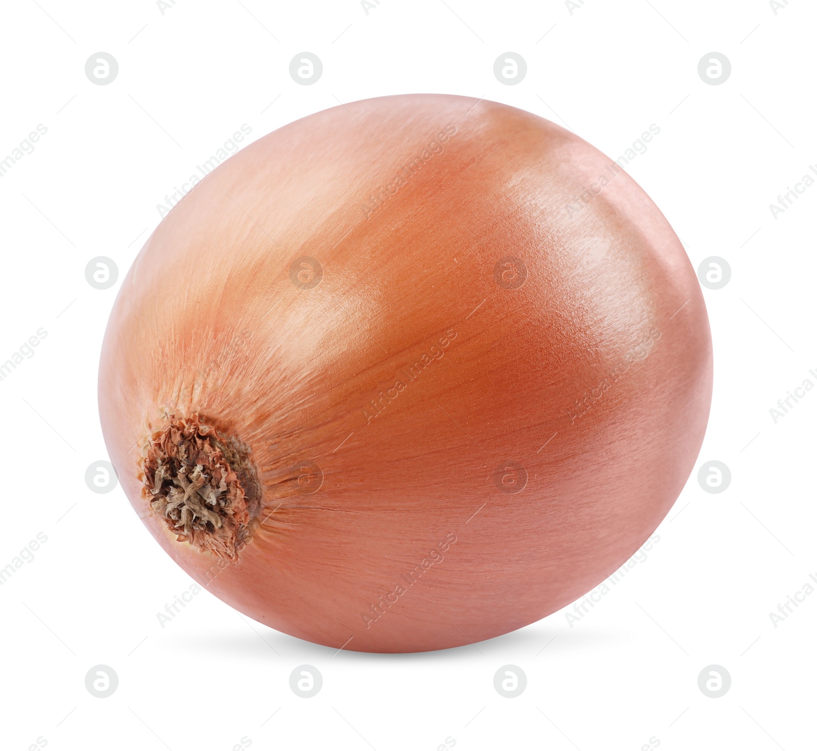 Photo of One yellow fresh onion isolated on white