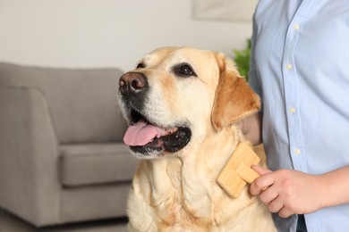 Photo of Woman brushing cute Labrador Retriever dog at home, closeup. Space for text