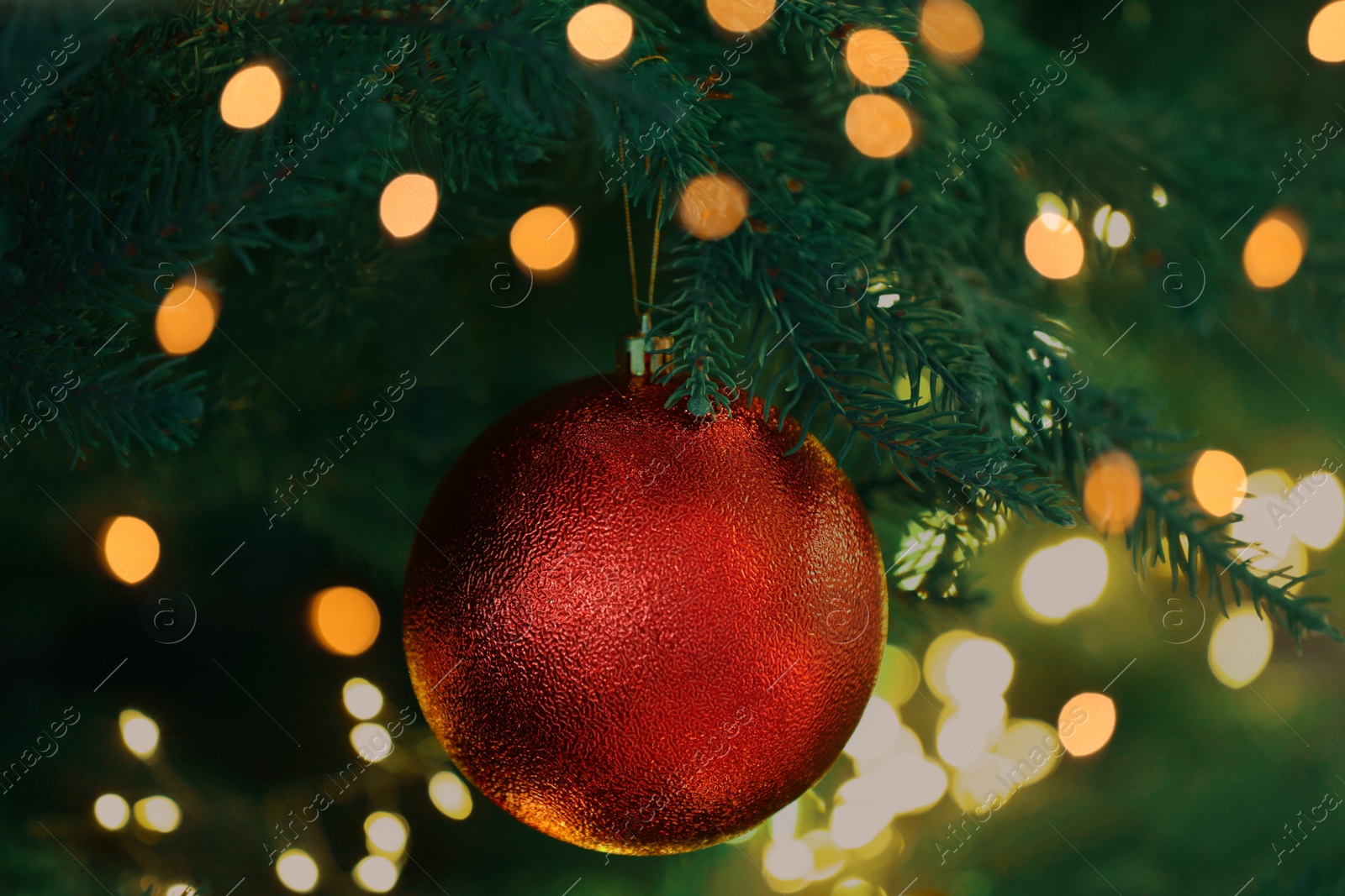 Photo of Christmas tree decorated with red festive ball and lights, closeup