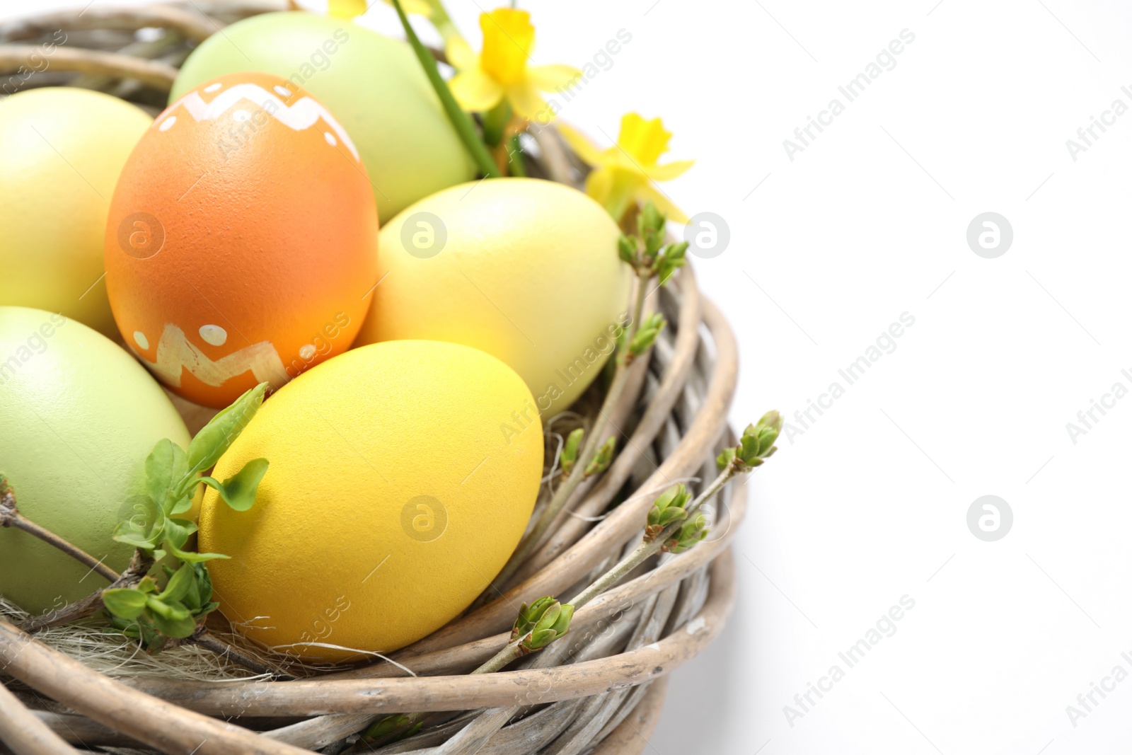 Photo of Colorful Easter eggs in decorative nest on white background, closeup