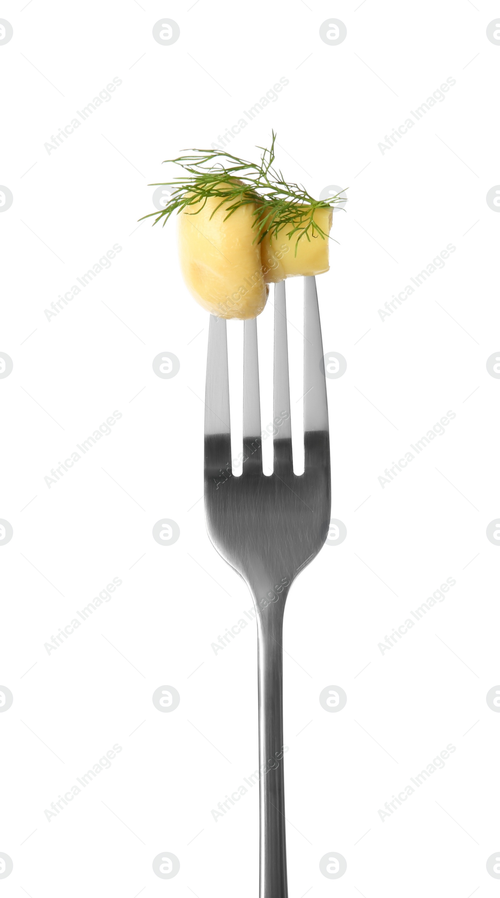 Photo of Fork with tasty marinated mushroom and dill isolated on white