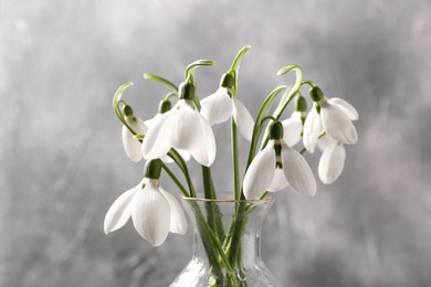Vase with beautiful snowdrops on grey background, closeup