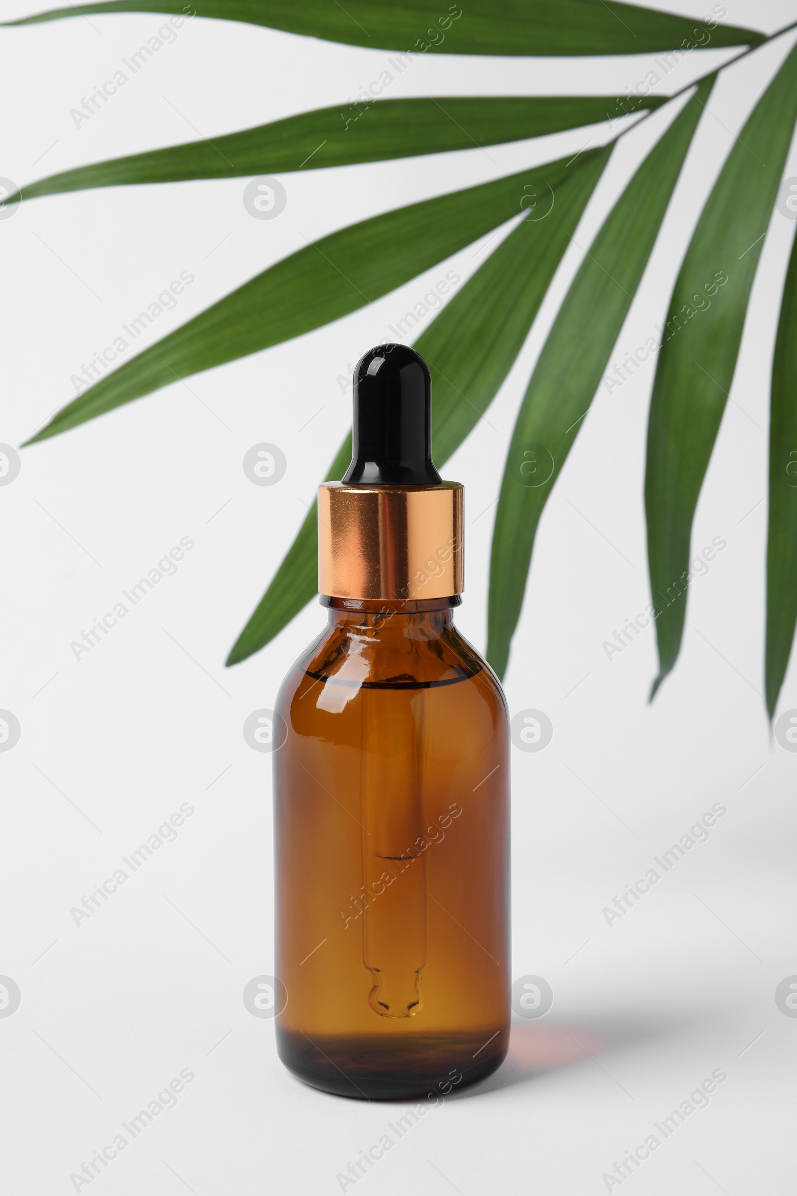 Photo of Bottle with cosmetic oil and green leaf on white background