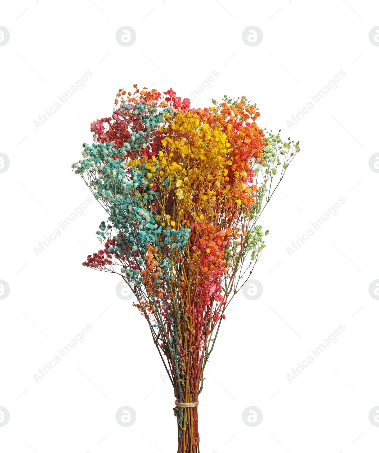 Photo of Bouquet of dried flowers on white background