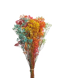 Photo of Bouquet of dried flowers on white background