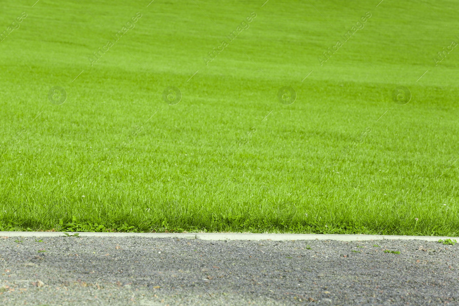 Photo of Beautiful lawn with bright green grass outdoors