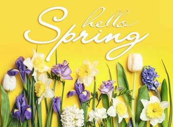 Image of Hello Spring. Beautiful flowers on yellow background, flat lay
