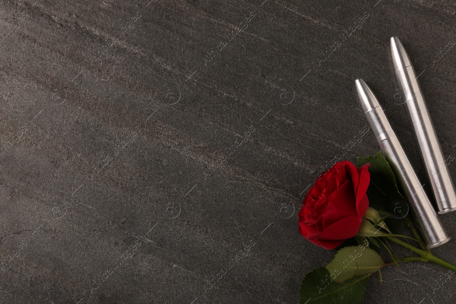 Photo of Bullets and beautiful rose on dark grey table, flat lay. Space for text