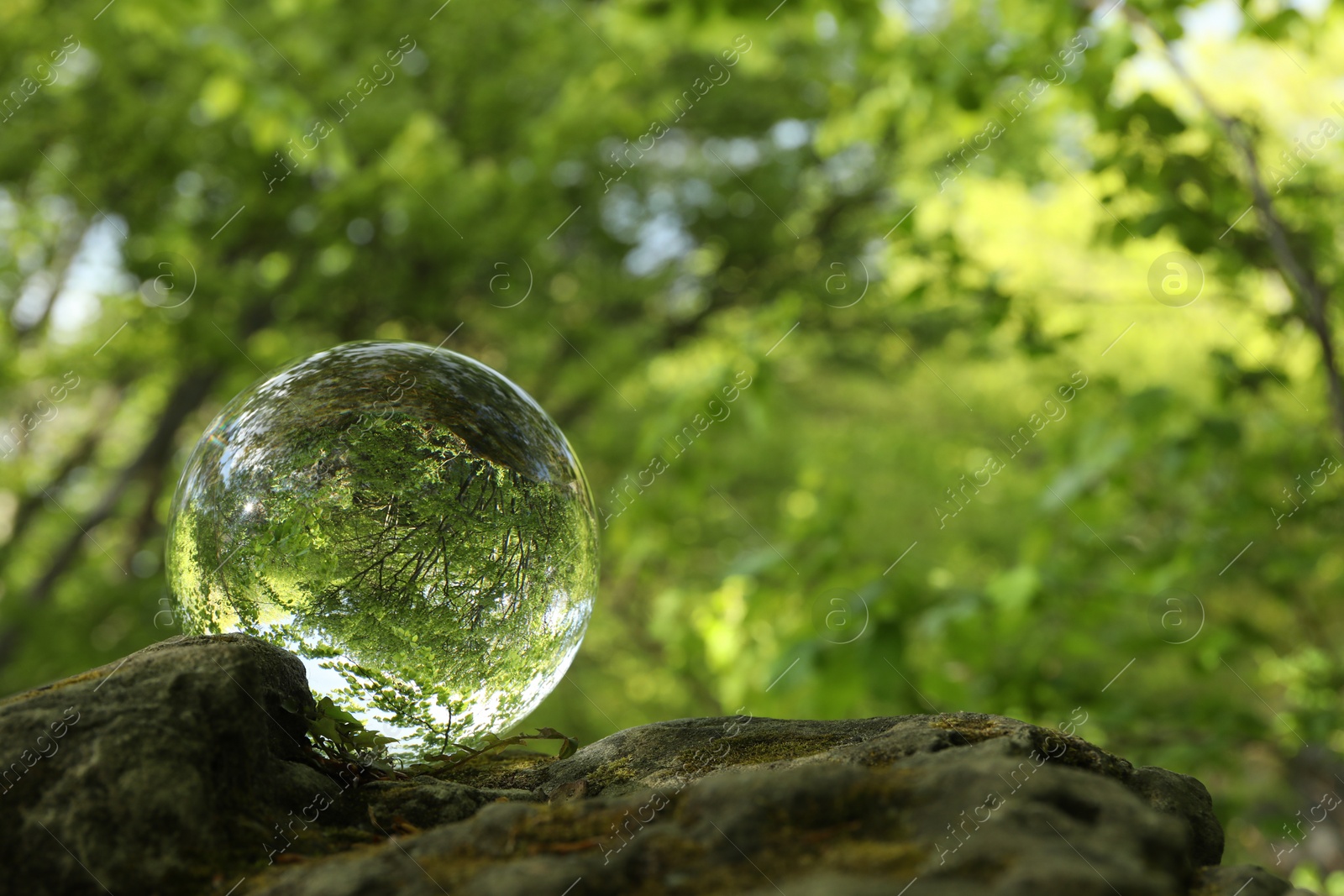 Photo of Beautiful green trees outdoors, overturned reflection. Crystal ball on stone in forest. Space for text