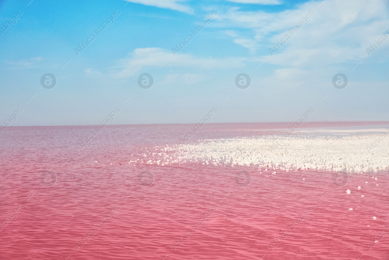 Photo of Beautiful view of pink lake on summer day