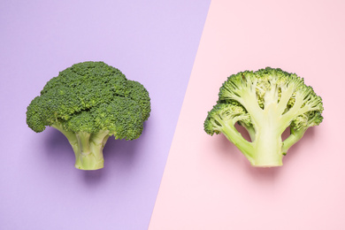 Photo of Fresh tasty broccoli on color background, flat lay