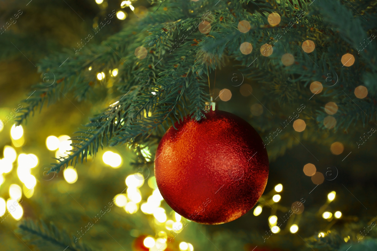 Photo of Christmas tree decorated with red festive ball and lights, closeup