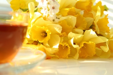 Yellow daffodils and beautiful white flowers of plum tree on table, closeup