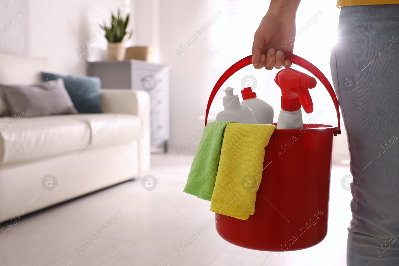 Photo of Woman holding bucket with cleaning supplies in living room, closeup. Space for text