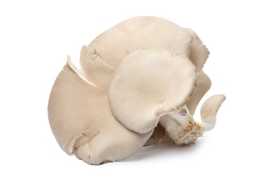 Photo of Delicious organic oyster mushrooms on white background