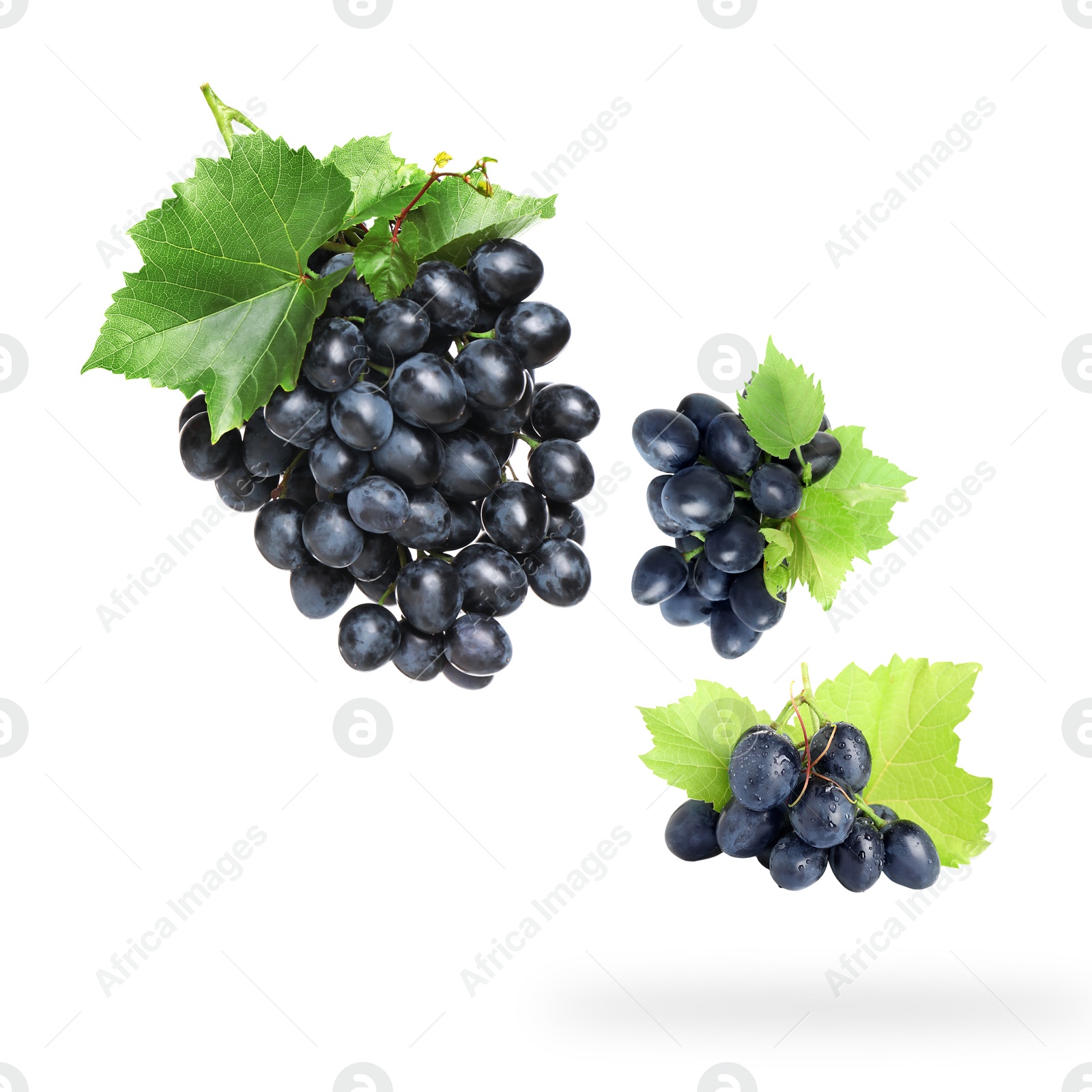 Image of Fresh grapes and leaves in air on white background