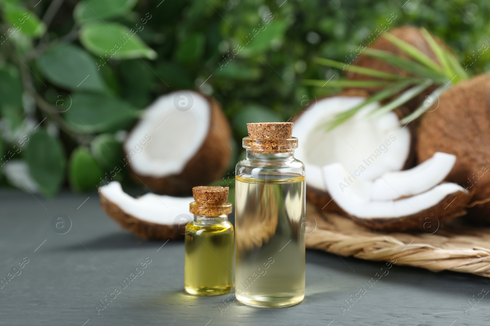 Photo of Bottles of organic coconut cooking oil and fresh fruits on grey table, closeup