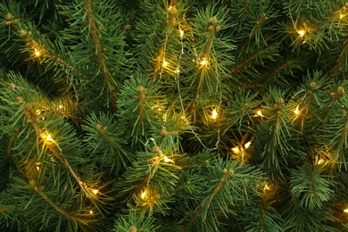 Photo of Glowing bright fairy lights on Christmas tree