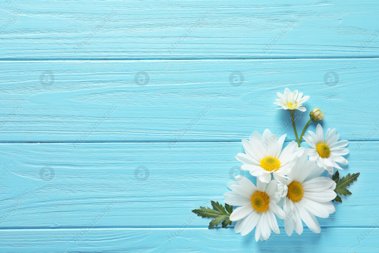 Photo of Beautiful chamomile flowers on wooden background, flat lay with space for text