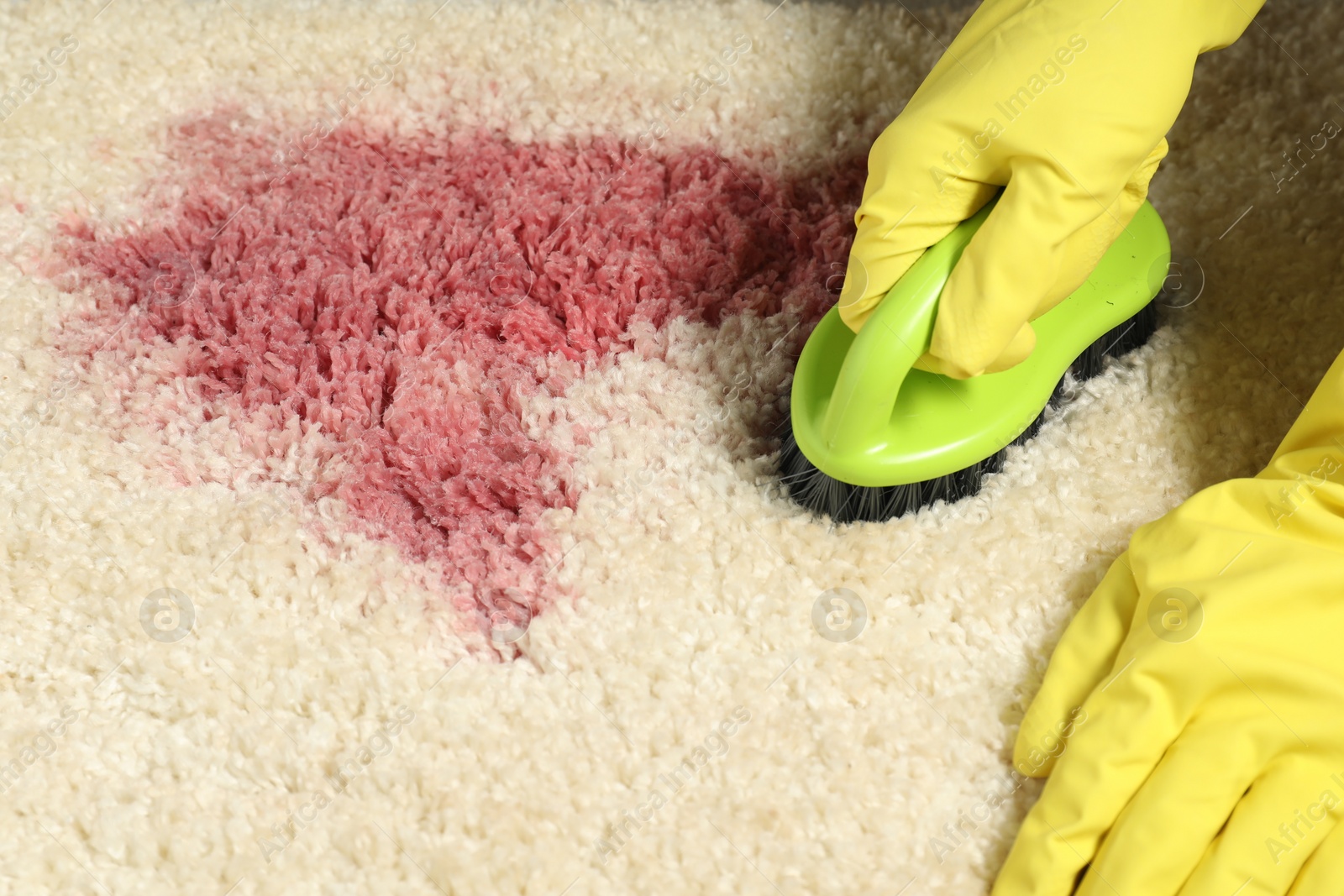 Photo of Woman removing stain from beige carpet, closeup