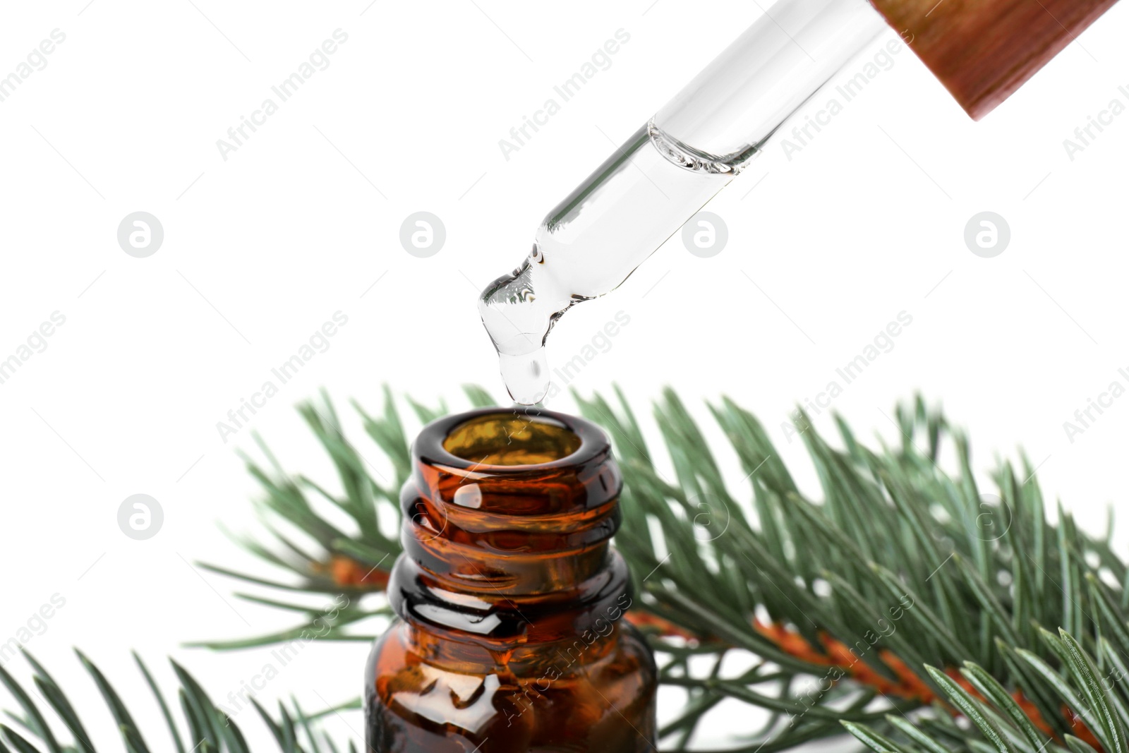 Photo of Dripping pine essential oil from pipette into bottle near branches on white background, closeup