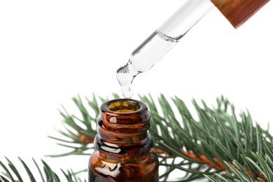 Photo of Dripping pine essential oil from pipette into bottle near branches on white background, closeup