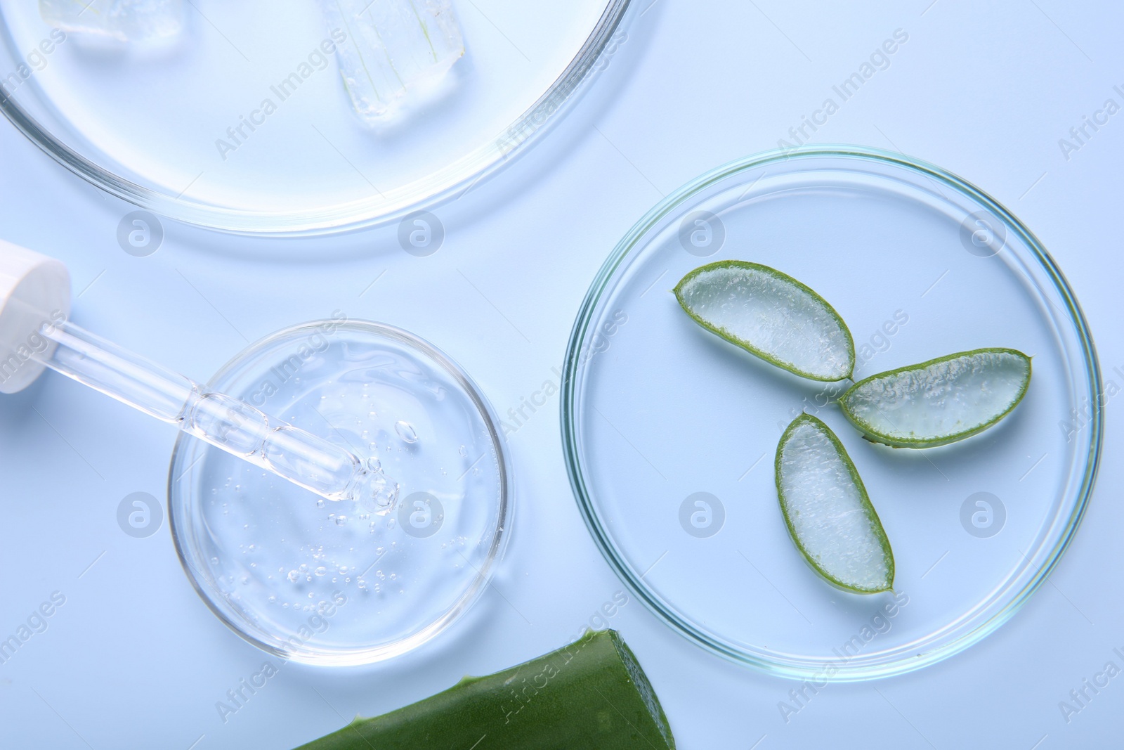 Photo of Flat lay composition with cut aloe vera and cosmetic gel on light blue background