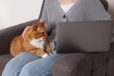 Photo of Woman with cat working in armchair at home , closeup