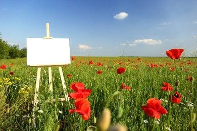 Photo of Wooden easel with blank canvas in poppy field on sunny day
