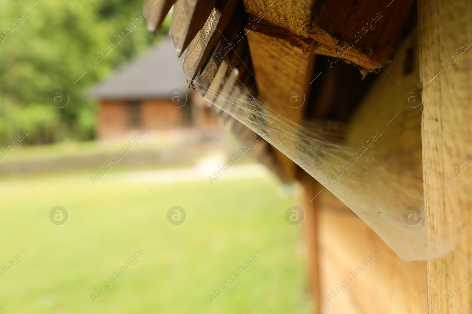 Photo of Cobweb on wooden building outdoors, closeup. Space for text