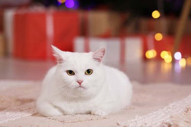 Photo of Christmas atmosphere. Adorable cat lying on carpet